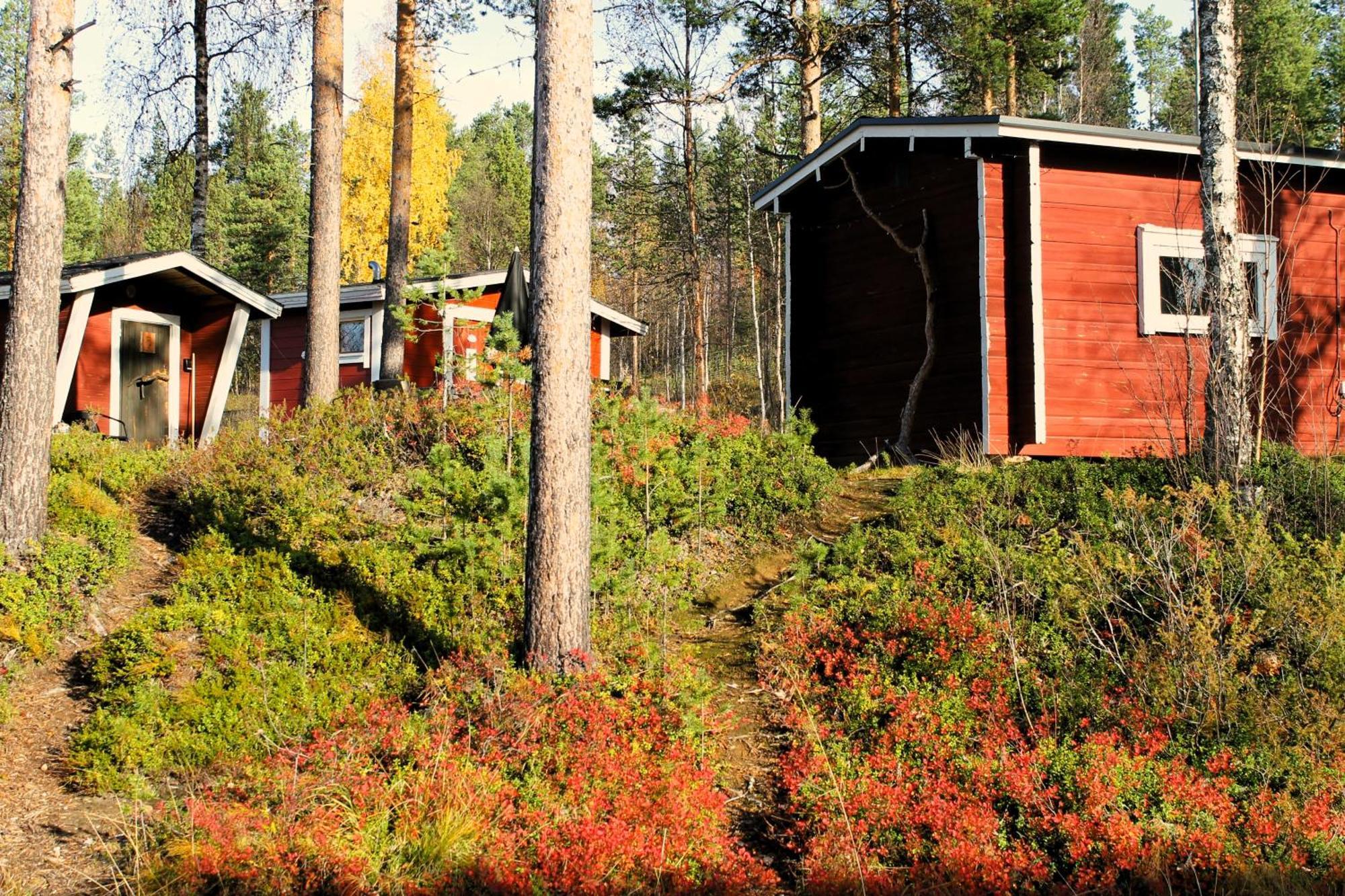 Ivalo River Camping Exterior foto